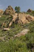 Moninca