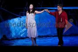 mediaspeed.net Monogarova