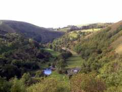 Monsal