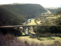 Monsal