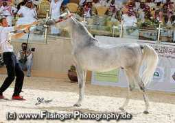 arabianflashlights.com Montasir