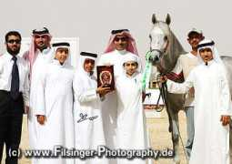 arabianflashlights.com Montasir