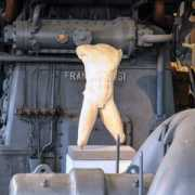 reidsitaly.com Montemartini