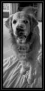 Montey