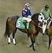 horse-races.net Monthir