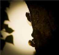 treklens.com Montoulieu