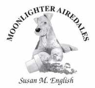 moonlighterairedales.com Moonlighter