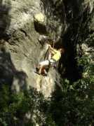 Morfina