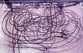 camaro5.com Morieson