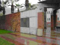 fbs.osaka-u.ac.jp Morimatsu