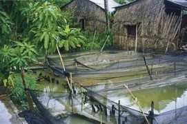 museum.agropolis.fr Morissens