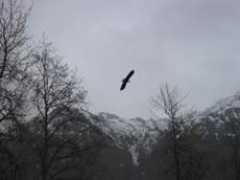 philjames.net Morjorie