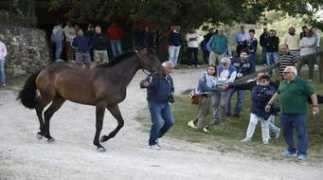 lanazione.it Morosita