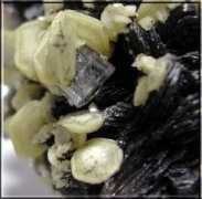 edelweissminerals.com Moscovita