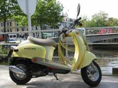 notoiletpaper.com Motino