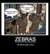 article.wn.com Motivacional