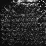 thepodule.com Motzart