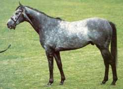 perloch.ps.free.fr Mouktar