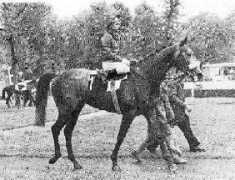 perloch.ps.free.fr Mouktar