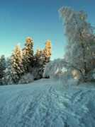 panoramio.com Mrazik