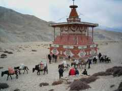 nectravels.com Mstang
