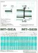 Mtse