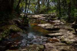 freelargephotos.com Mundora