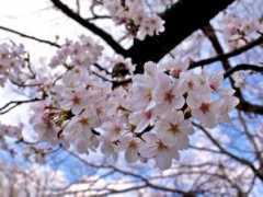 muneakiomx.typepad.jp Muneaki