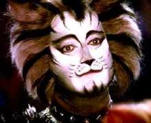 cats.nepart.com Munkustrap