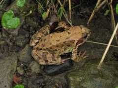 photoextract.com Murarik