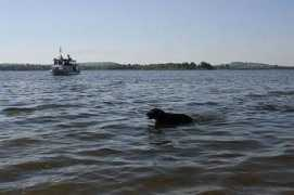 erfy-blossom.cz Musovska