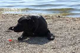 erfy-blossom.cz Musovska