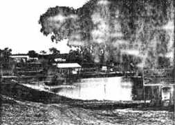Mwekera