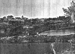 Mwekera