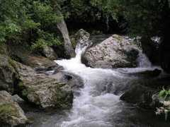sajha.com Nagmati