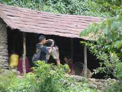sajha.com Nagmati