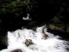 sajha.com Nagmati