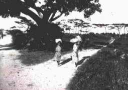 city.ishigaki.okinawa.jp Nakado