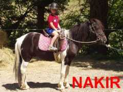 jprequi.free.fr Nakir