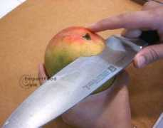 importfood.com Nampla