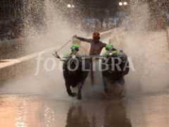 fotolibra.com Nandikoor