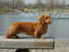 i-heart.cside.com Nandila