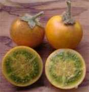 hipecuador.com Naranjilla