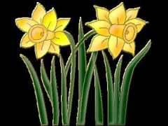 katka5212.bloglap.hu Narcisz