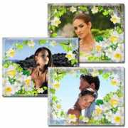 pixelbrush.ru Narzisi