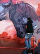 graffart.eu Nasimo