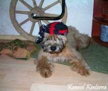 kinterra.terriersclub.com Nataalia