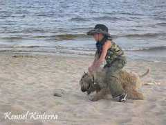 kinterra.terriersclub.com Nataalia