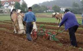 schwinn.twoday.net Nathano