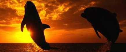 Naturaleza